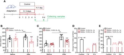 CRHR1 mediates the transcriptional expression of pituitary hormones and their receptors under hypoxia